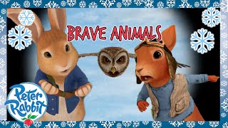 @OfficialPeterRabbit  - 💪🐰 Most Heroic Animals Compilation 💪🐰 | 1+ Hour | Cartoons for Kids