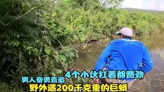 野外遇200千克重的巨蟒，男人奋勇直追，4个小伙扛着都费劲！