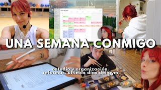 una semana conmigo de estudio, gym, organización de exámenes y reformas en casa 🏠| Elizabeth Delgado