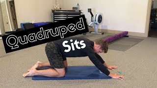 Quadruped Sits for Hips and Shoulder Mobility