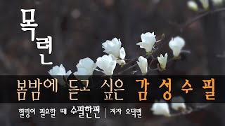 【감성수필】 봄밤에 듣고 싶은 감성수필 ｜목련｜저자 오덕렬  ｜수필한편｜한편의 영화 같은 봄밤 첫사랑의 추억