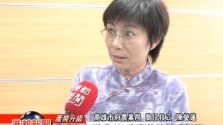 1030401【農產加工助收益 蜜棗乾外銷受好評】TKTV高雄都會台港都新聞