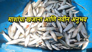 खाडीमधील तूफान मासेमारी 🐟.bay fishing.mumbai indian fishing 🎣