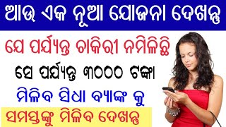 ଯେ ପର୍ଯ୍ୟନ୍ତ ଚାକିରୀ ନମିଳିଛି ସେ ପର୍ଯ୍ୟନ୍ତ 3000 ଟଙ୍କା ମିଳିବ ।  Odia New yojana ।