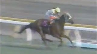 第４０回　優駿牝馬（オークス）　アグネスレディー　牝３　55　河内洋　1979.5.20　　出走馬：ナカミサファイヤ、ホクセーミドリ、スパートリドン、クインパシフィック、フジノスカーレット他