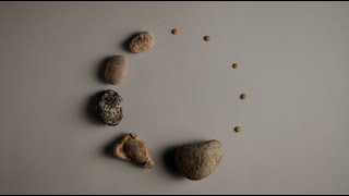 Զարմանալի պարզ ու հասարակ բաներ | Amazingly pure \u0026 simple things (А Woman Cleaning Lentils, Zahrad)