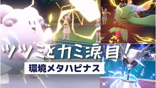 テツノツツミ／ハバタクカミ涙目！環境メタ攻めハピナス【ポケモンＳＶ】