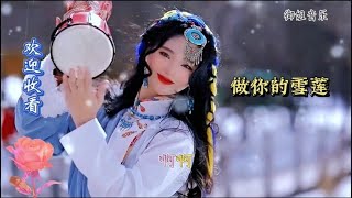 一首《做你的雪莲》表达了爱情像雪莲花一样纯洁无暇