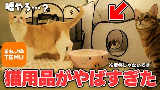 【やばい】色々と噂の通販サイトTEMUで猫用品を購入してみたら想像以上に闇が深かった件について…【激安？】