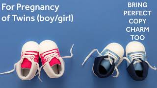 Switchwords for Pregnancy of Twins (boy/girl) - BRING-PERFECT-COPY-CHARM-TOO