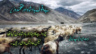 Bewaqoof badsha or aqalmand wazeer | بے وقوف بادشاہ اورعقلمند وزیر