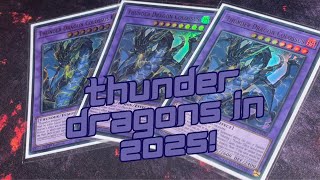 The year is 2025 and thunder dragons are the best!!!! - January Thunder Dragon deck profile