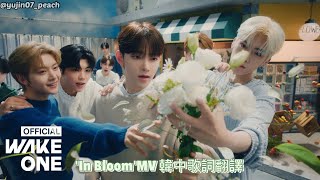 [ZB1中文歌詞] In Bloom (MV) @ZB1_official