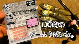 これが100円ってヤバくないっスか?? セリアのワームでアジング!!