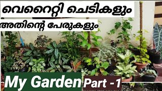 My Garden -Part -1🍃🌸|വെറൈറ്റി ചെടികളും അതിന്റെ പേരുകളും😍