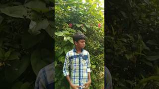 എടാ അച്ഛാ കഴിക്കാൻ വാടാ #comedy  #shortsvideo