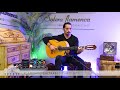 Gerundino Hijo 2024 flamenco guitar for sale played by José Andrés Cortés