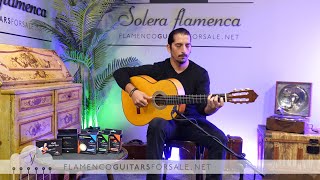 Gerundino Hijo 2024 flamenco guitar for sale played by José Andrés Cortés