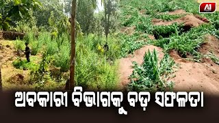 ଆଶାକର୍ମୀ ମାନଙ୍କ କାର୍ଯ୍ୟବନ୍ଦ ପାଳନ | A1 ODISHA