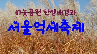 하늘공원, 서울억세축제, 월드컵공원, 평화의공원, 노을공원, 억세좋은 곳, 서울 가볼만 한곳, 산책하기 좋은 곳,난지도, 하늘공원 유래