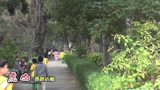 臺南市仁德區虎山國小 2015路跑活動