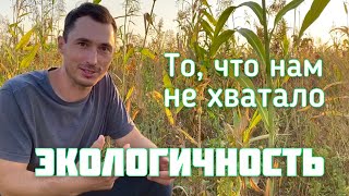 Смесь из 40 культур