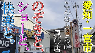 ※廃業【愛知・一宮市】ショーをのぞき見、個室で自家発電。こんなところにあるなんて…