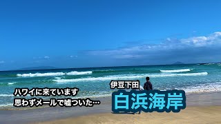 伊豆一周家族旅行3（南伊豆〜東伊豆）ハワイに来ていますと思わずメールで嘘ついた… 伊豆下田　白浜海岸