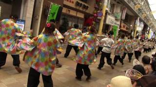 2017 桃太郎祭り　うらじゃ連 陽舞笑 ～ひまわり～　岡山駅前商店街演舞場　1日目