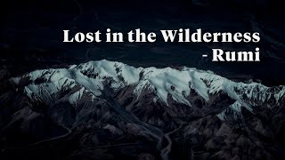 Lost in the wilderness - Rumi