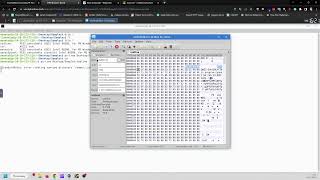 TryHackMe #656 Dissecting PE Headers