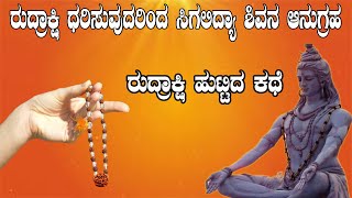 ರುದ್ರಾಕ್ಷಿ ಧರಿಸುವುದರಿಂದ ಸಿಗಲಿದ್ಯಾ ಶಿವನ ಆನುಗ್ರಹ | ರುದ್ರಾಕ್ಷಿ ಹುಟ್ಟಿದ ಕಥೆ       | Namma Dharma