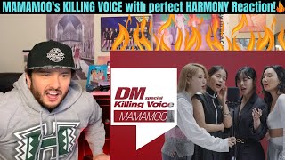 MAMAMOO's KILLING VOICE with perfect HARMONY Reaction! (Welcome New MooMoos)