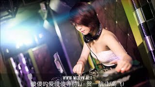 傻傻的爱傻傻等待dj - 贺一航 (DJ高飞).mp4