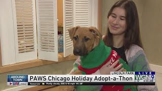 Around Town - PAWS Chicago Holiday Adopt-a-Thon