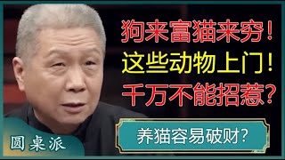 养猫好还是养狗好？俗话说”狗来富，猫来穷“，动物进家有何说法？养猫真的容易破财吗？#窦文涛 #梁文道 #马未都 #马家辉 #周轶君