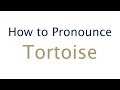 How to Pronounce Tortoise