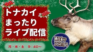 12/11(水)トナカイまったり配信⑪