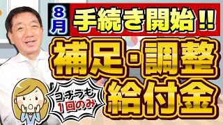 【こちらも1回限り!! 手続き開始!! 補足給付金】8月の定額減税に伴う給付金/ 支給の流れと手続き方法/ 給付対象の給与・年金収入要件/ 厚労省の支援策/ 詐欺に注意!! ≪2024年8月時点≫