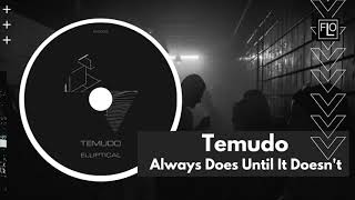 Temudo - Always Does Until It Doesn't