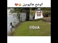 الوضع هاليومين