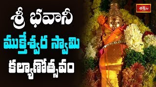 Sri Bhavani Mukteswara Swamy Kalyanotsavam in Muktyala Krishna District || Bhakthi TV