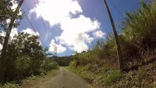 龍郷町自然観察の森から本茶峠への山道 - Driving in Amami