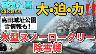 【天気と雪】高田公園の雪情報 その４９ 極楽橋渡りました～‼（※おまけ⛄大・迫・力‼大型ロータリー除雪車、雪飛ばしまくる😲）2021.2.12