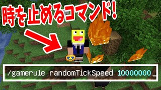 マイクラの時間を止めるコマンド!#Shorts【Minecraft】