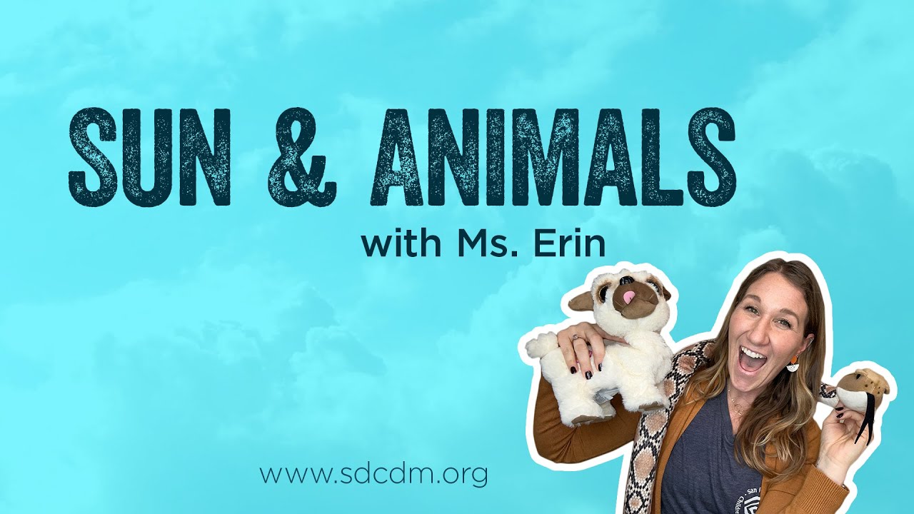 Learn About Endotherms Vs Ectotherms Youtube