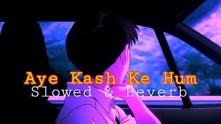 Aye Kash Ke Hum | Slowed & Reverb | Reprised | Unplugged