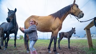 NEW BABY HORSE!! Adley visits Spirit to help with their farm routine!