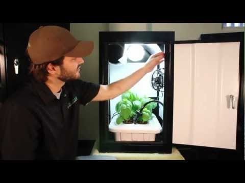 Hydroponic Grow Box works best! Growing kit by Supercloset Hydroponic Grow Box works best! Growing kit by Supercloset