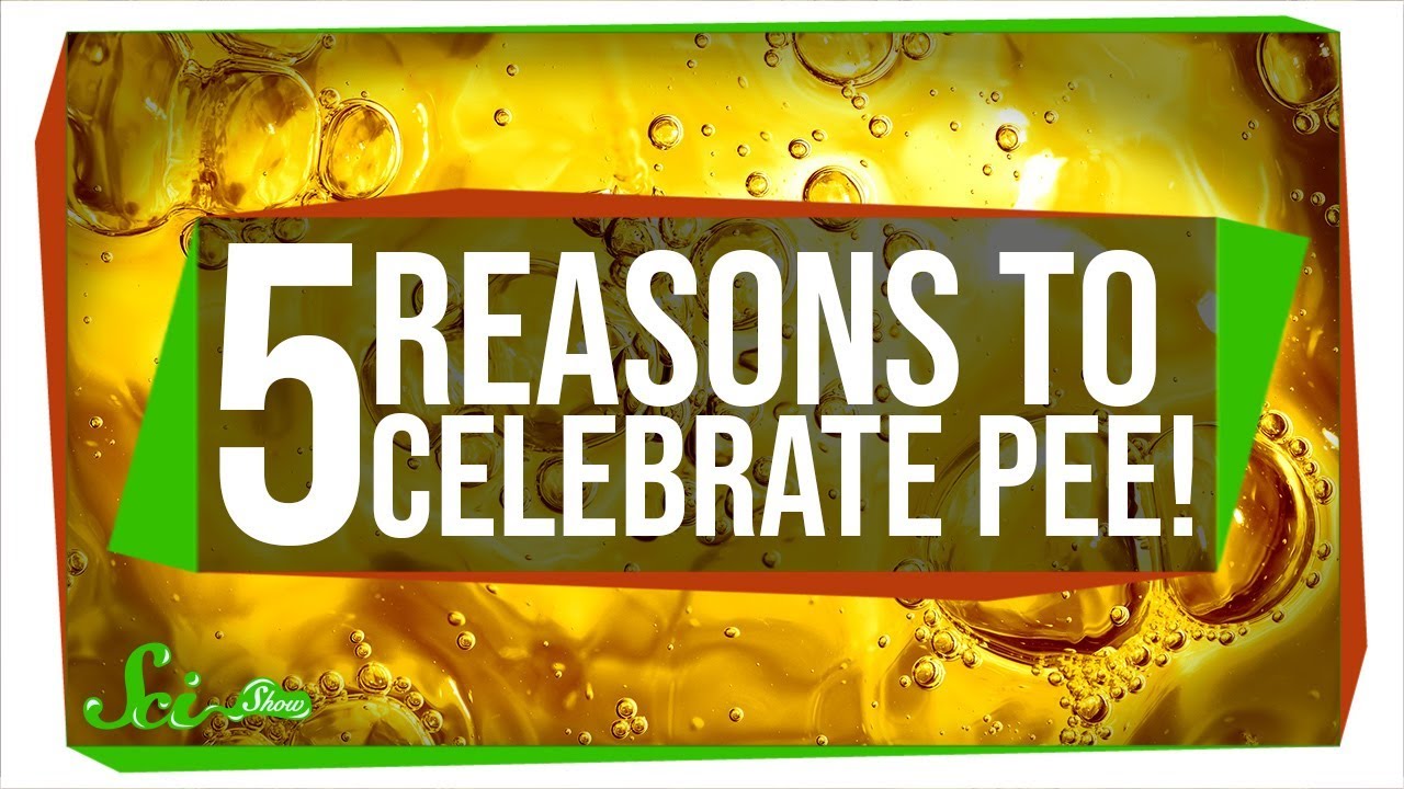 New Channel Alert Youtube